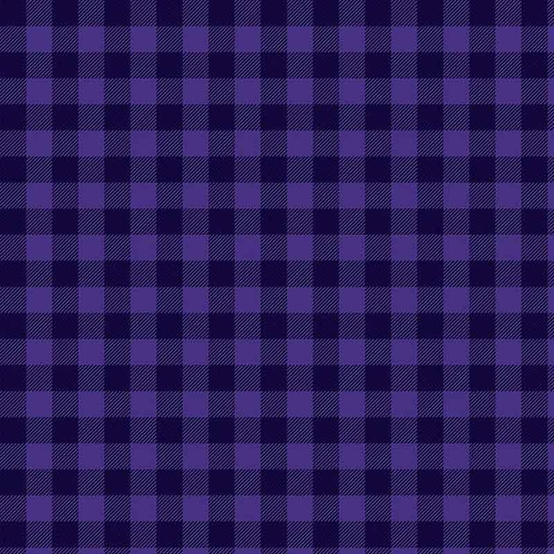Wilmington Buffalo Check 39148 669 Purple X – Batiks Etcetera
